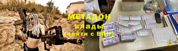 прущие грибы Бородино